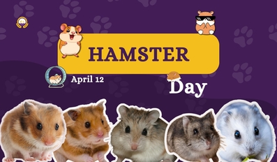 Hamster Day 